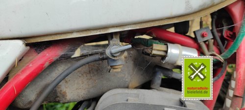 IMG_20230822_181409
